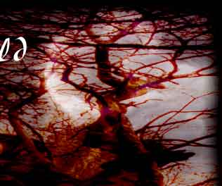 Fallacious World web site