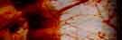 Fallacious World web site